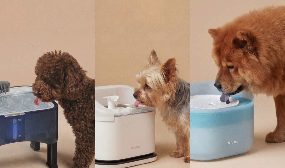 Best Dog Water Fountains (2026): Quiet, Multi-functioned & Easy to Clean