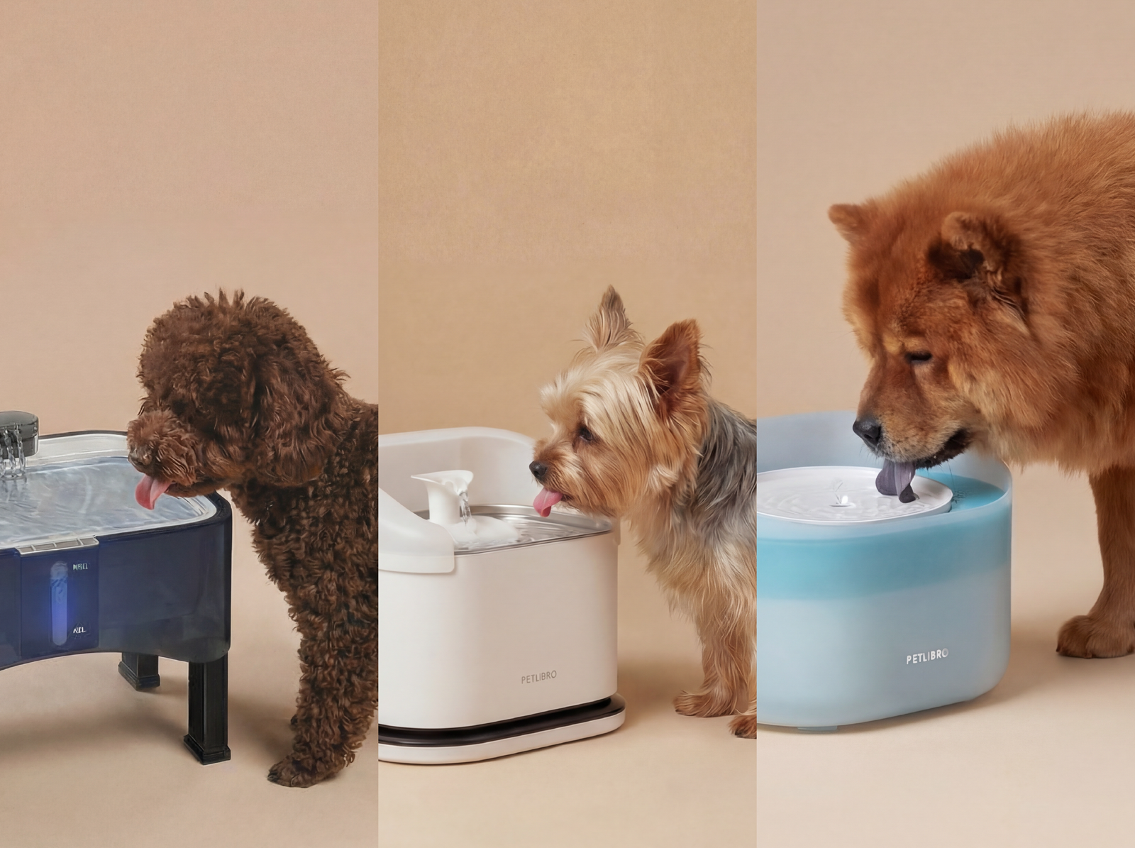 2026飲水機封面照