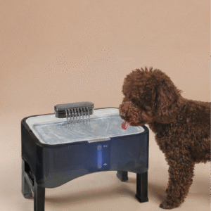 best overall upsky 2.25 gal elevated dog water fountain shop