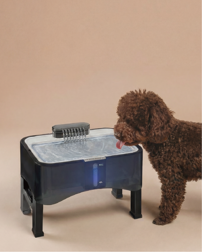 best overall upsky 2.25 gal elevated dog water fountain shop