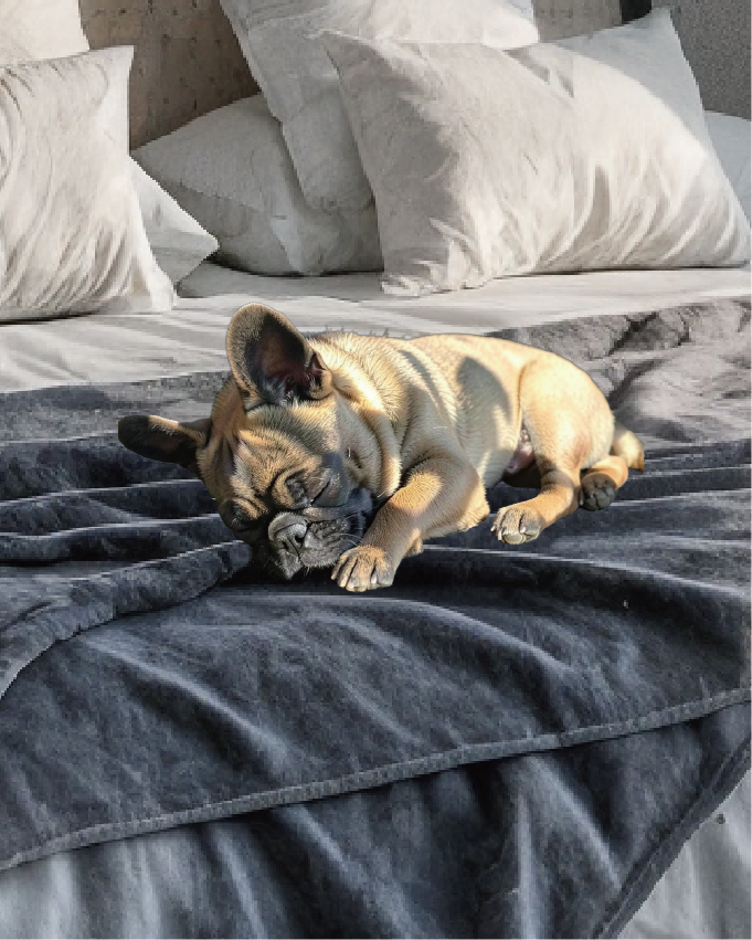 loobani waterproof blanket for bed shop