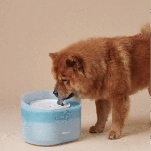 petlibro 2.1gal 8l dog water fountain shop