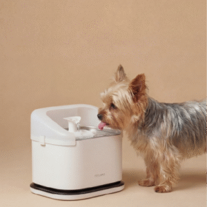 petlibro cat water fountain shop