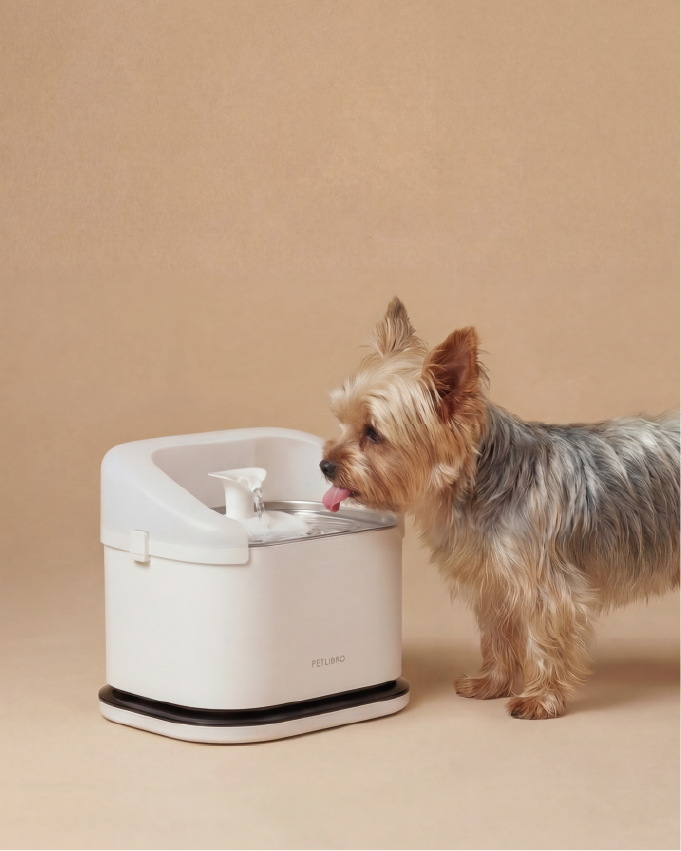 petlibro cat water fountain shop