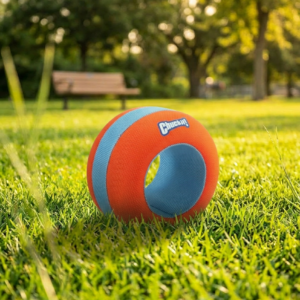 chuckit amphibious roller ball original